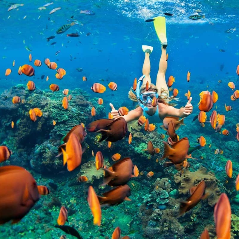 tour-cau-ca-lan-ngam-san-ho-bac-dao-phu-quoc tour-cau-ca-lan-ngam-san-ho-bac-dao-phu-quoc